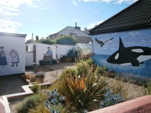 On our walk round Arbroath we came across this surprising series of murals in a back garden in the older part of town near the harbour.