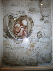 Leonardo's drawings of a foetus in the womb. He was very curious about how the mother's and babies blood are separate but the one nourishes the other. As with so many of his anatomical studies, modern science has shown how accurate his observations were: in this case the child is in the breach position. Leornado always wrote in mirror writing as he was left handed and found mirror writing easier; it was not done for concealement. 