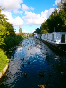 The Chichester Canal, little used apart from the line of house boats